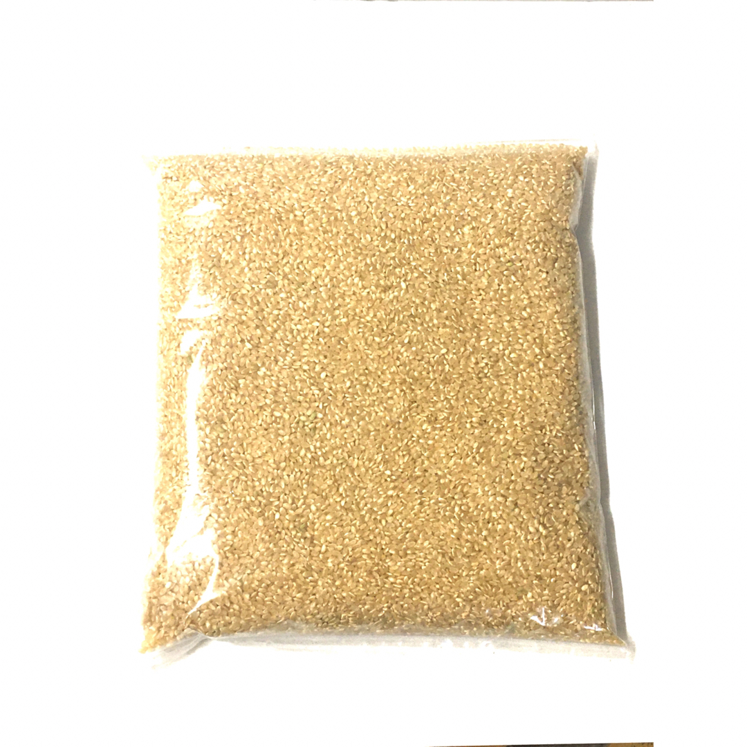 U様専用 新米 無農薬コシヒカリ玄米20kg(2.5kg×8)令和5年産 U様専用 新米 無農薬コシヒカリ玄米20kg(2.5kg×8)令和5年産