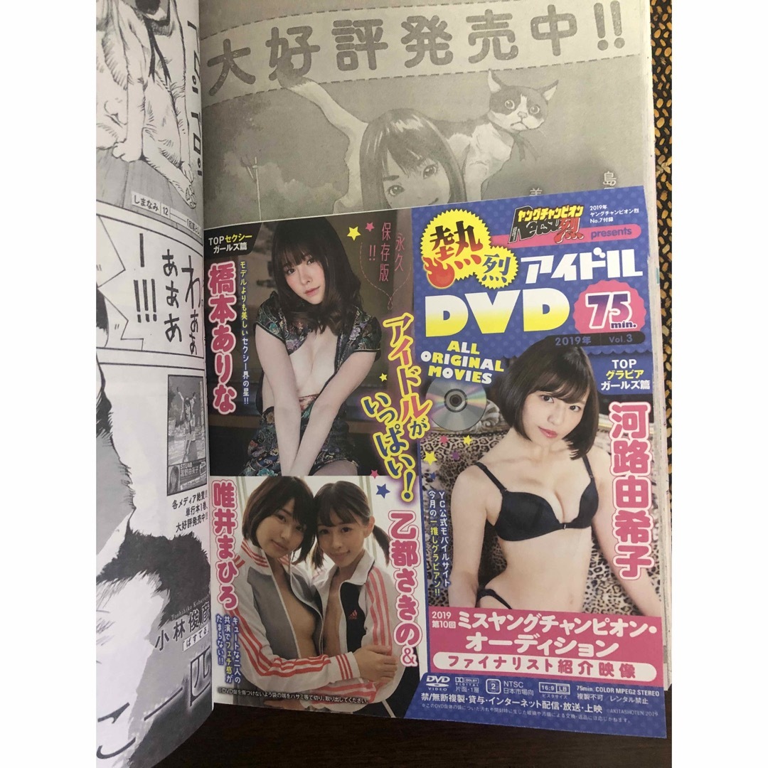 ヤングチャンピオン烈　2019 no.7 DVD付き エンタメ/ホビーの雑誌(アート/エンタメ/ホビー)の商品写真