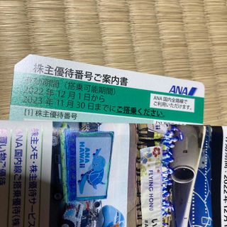 エーエヌエー(ゼンニッポンクウユ)(ANA(全日本空輸))のANA 株主優待券　１枚(その他)