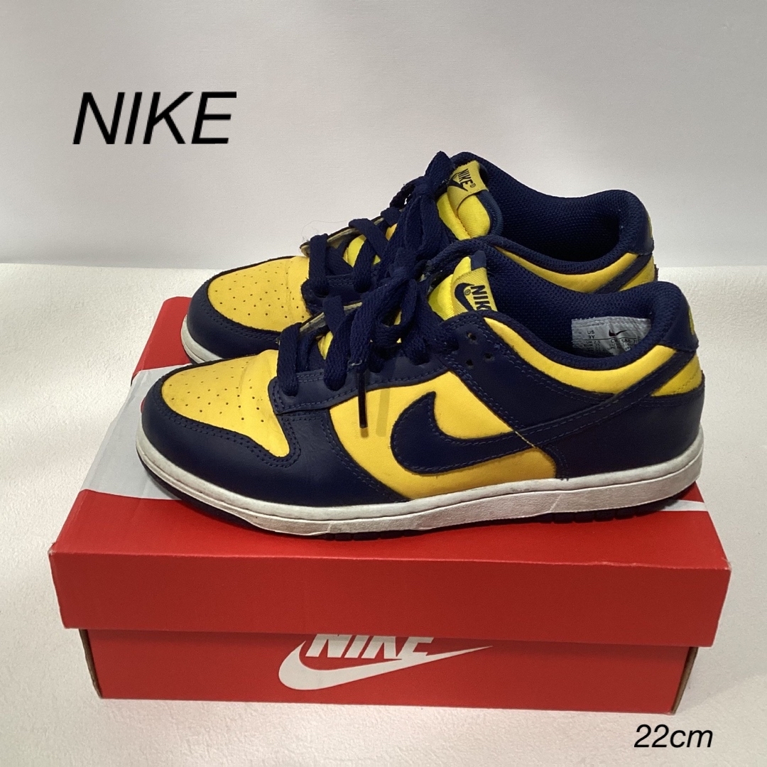 NIKE DUNK LOW (PC) スニーカー　22cm