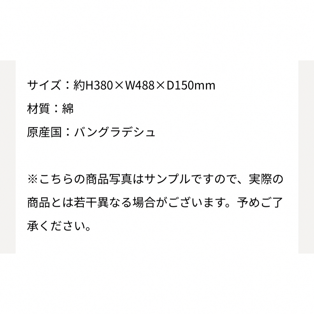 恐竜はじめました　大きめトートバッグ(ただいま) ノベルティ付き レディースのバッグ(トートバッグ)の商品写真