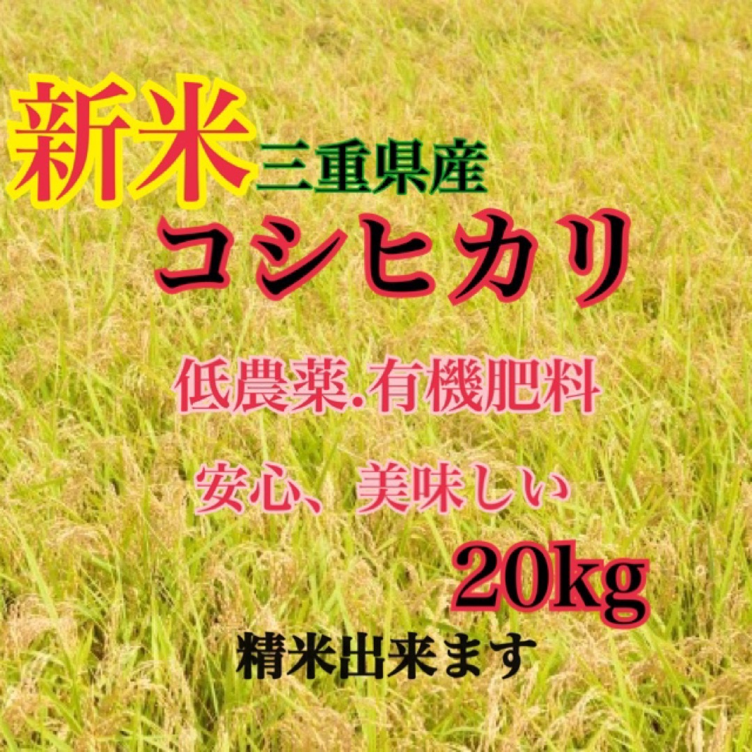 三重県産　新米コシヒカリ20kg   精米出来ます 食品/飲料/酒の食品(米/穀物)の商品写真