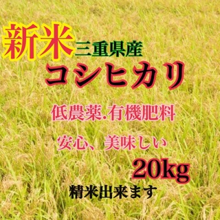 三重県産　新米コシヒカリ20kg   精米出来ます(米/穀物)