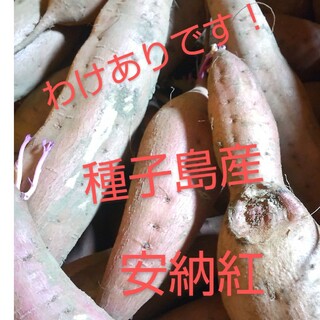 わけあり品　種子島産安納紅M・Lサイズ混合5キロ(野菜)