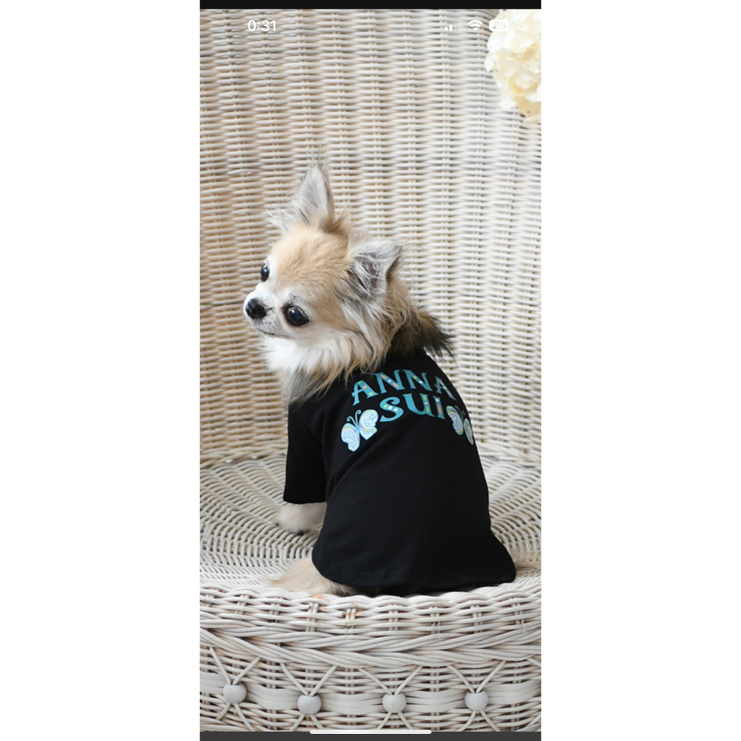 ANNA SUI(アナスイ)の値下げ　未使用品　アナスイ　ボヘミアロゴＴシャツ　DM   犬服 その他のペット用品(犬)の商品写真