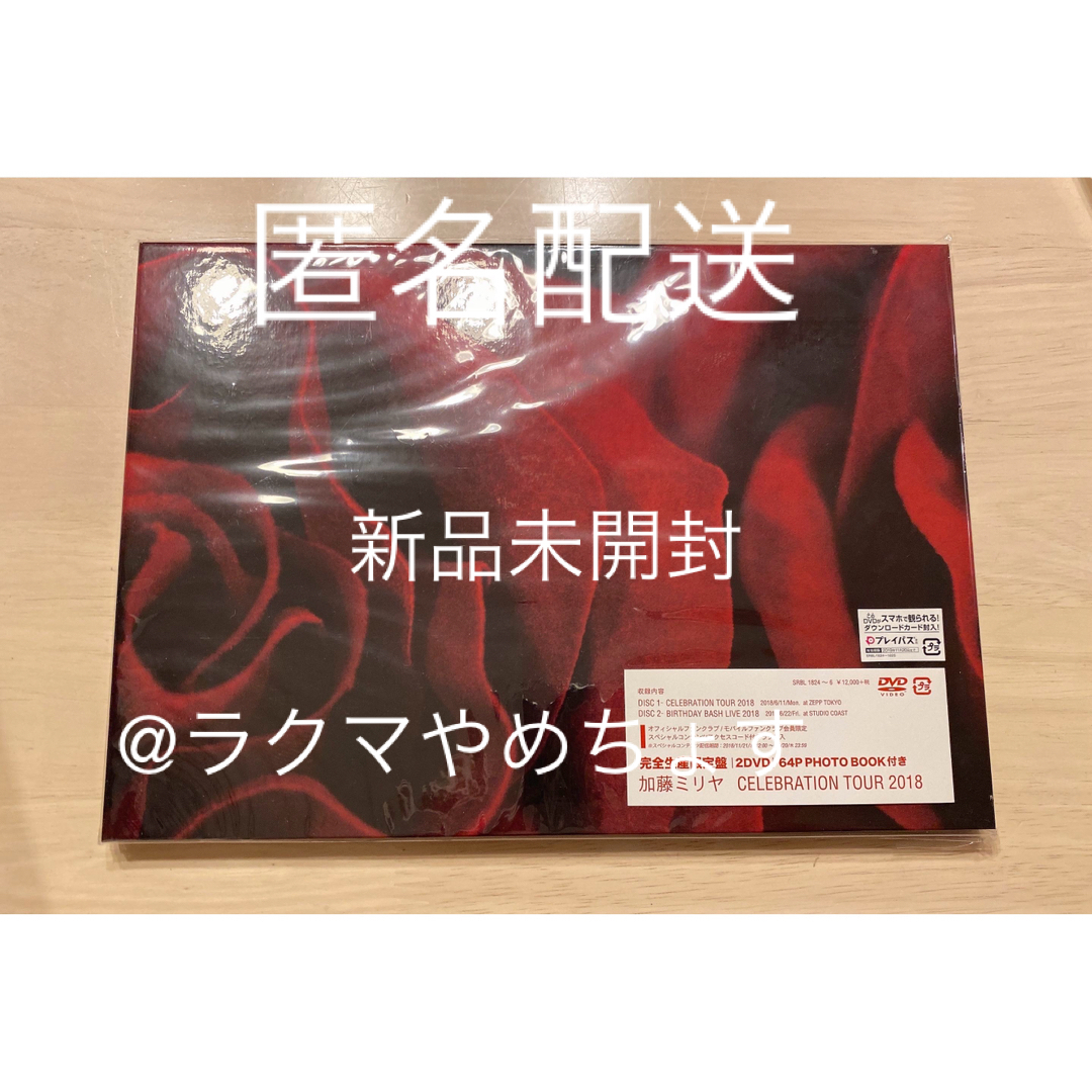 DVD加藤ミリヤ CELEBRATION Tour 完全初回生産限定盤 ライブ DVD