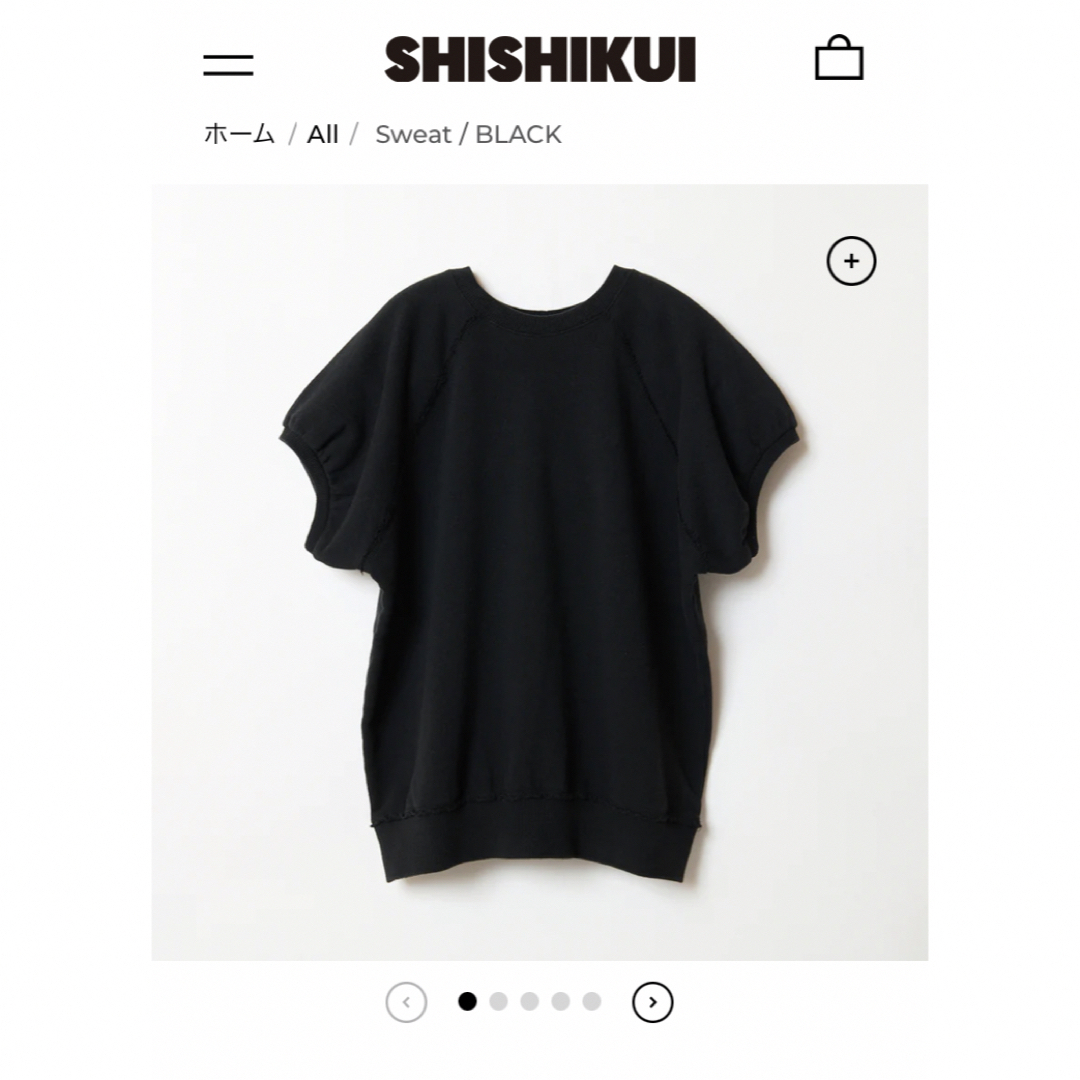 定価¥25850新品未開封　THESHISHIKUI レミレリーフ CRUSHED ブラック