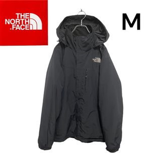 ノースフェイス(THE NORTH FACE) 韓国 マウンテンパーカー(メンズ)の ...