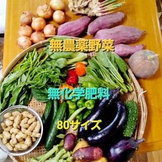 無農薬野菜　80サイズ(野菜)