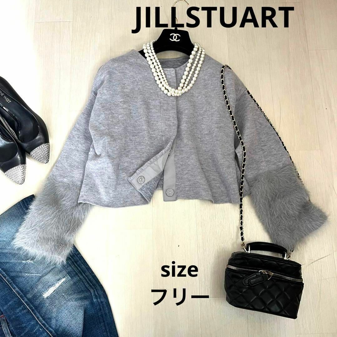 JILLSTUART(ジルスチュアート)のジルスチュアート　アウター　ファー　袖ファー　ショート丈　JILLSTUART レディースのジャケット/アウター(ノーカラージャケット)の商品写真