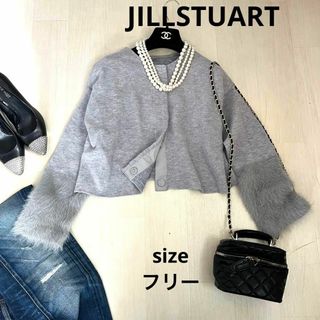 ジルスチュアート(JILLSTUART)のジルスチュアート　アウター　ファー　袖ファー　ショート丈　JILLSTUART(ノーカラージャケット)