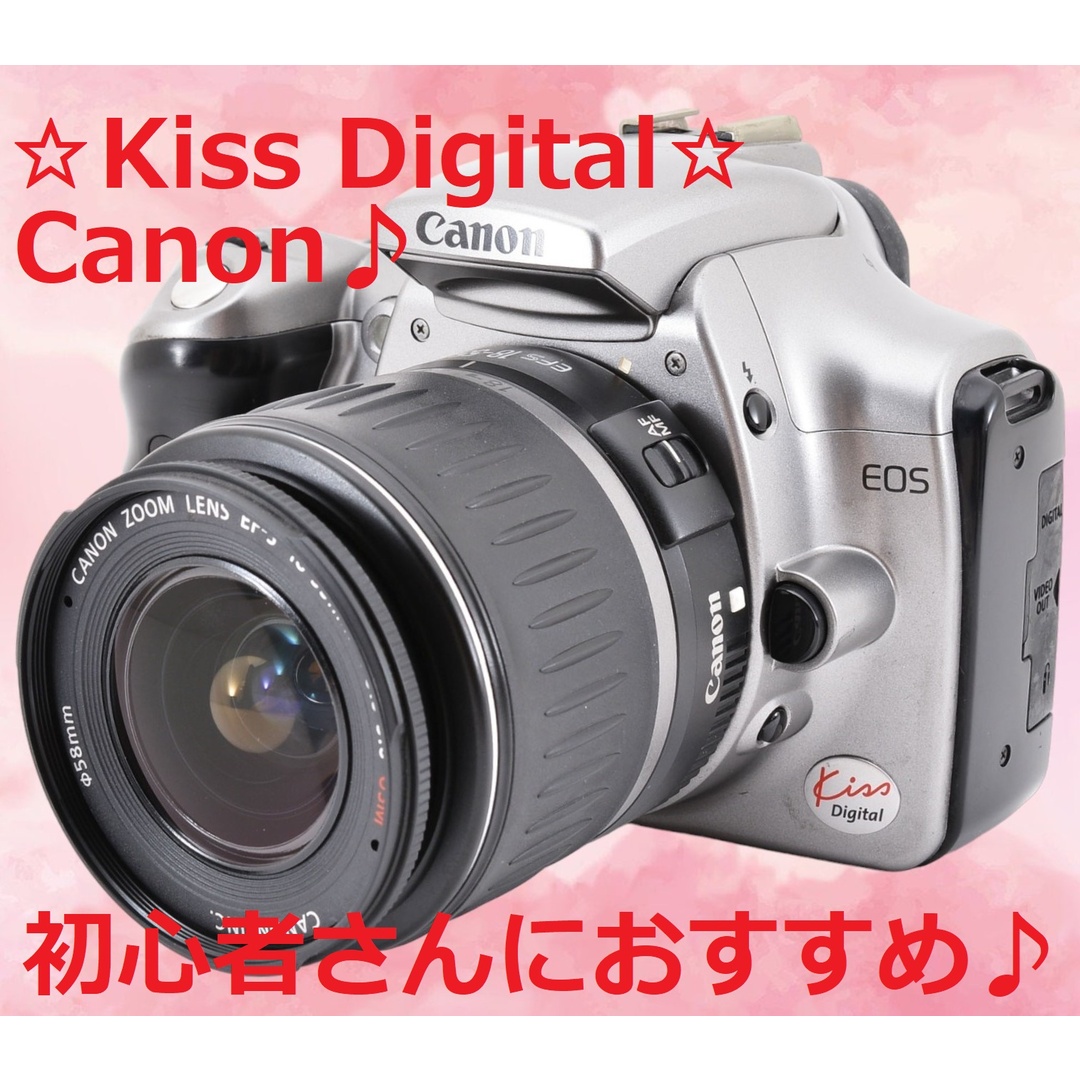 ■美品■ キヤノン Canon EOS Kiss X90 標準ズームセット