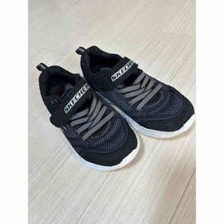 スケッチャーズ(SKECHERS)の男の子　女の子　スニーカー　18cm(スニーカー)