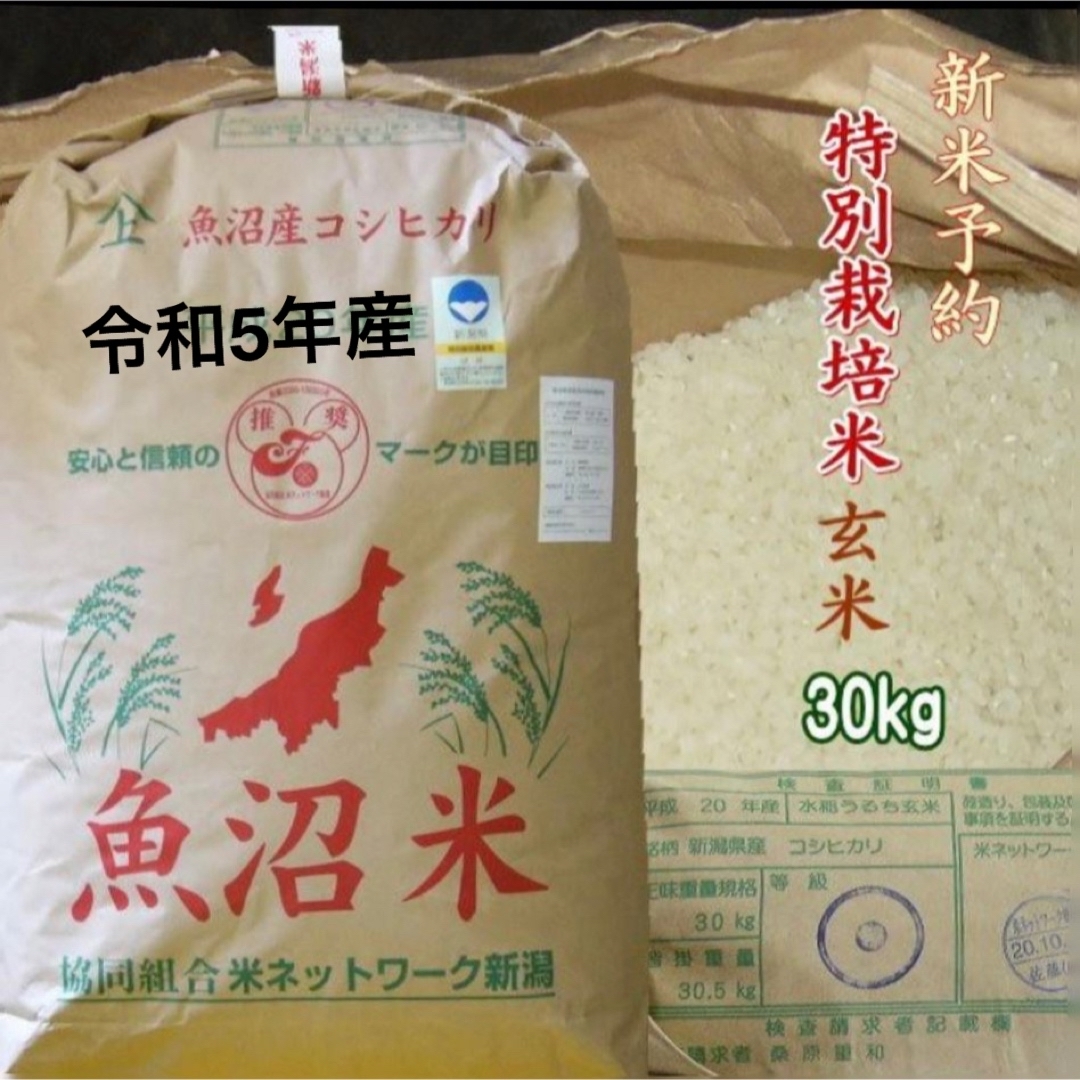新米１等米小分け　玄米　特別栽培米　魚沼コシヒカリ30kg（10k×3）精米無料-