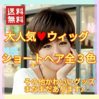 新品 ♥ ショートウィッグ ショートヘア 全３色 大人気 商品 ！！ 送料無料(ショートストレート)