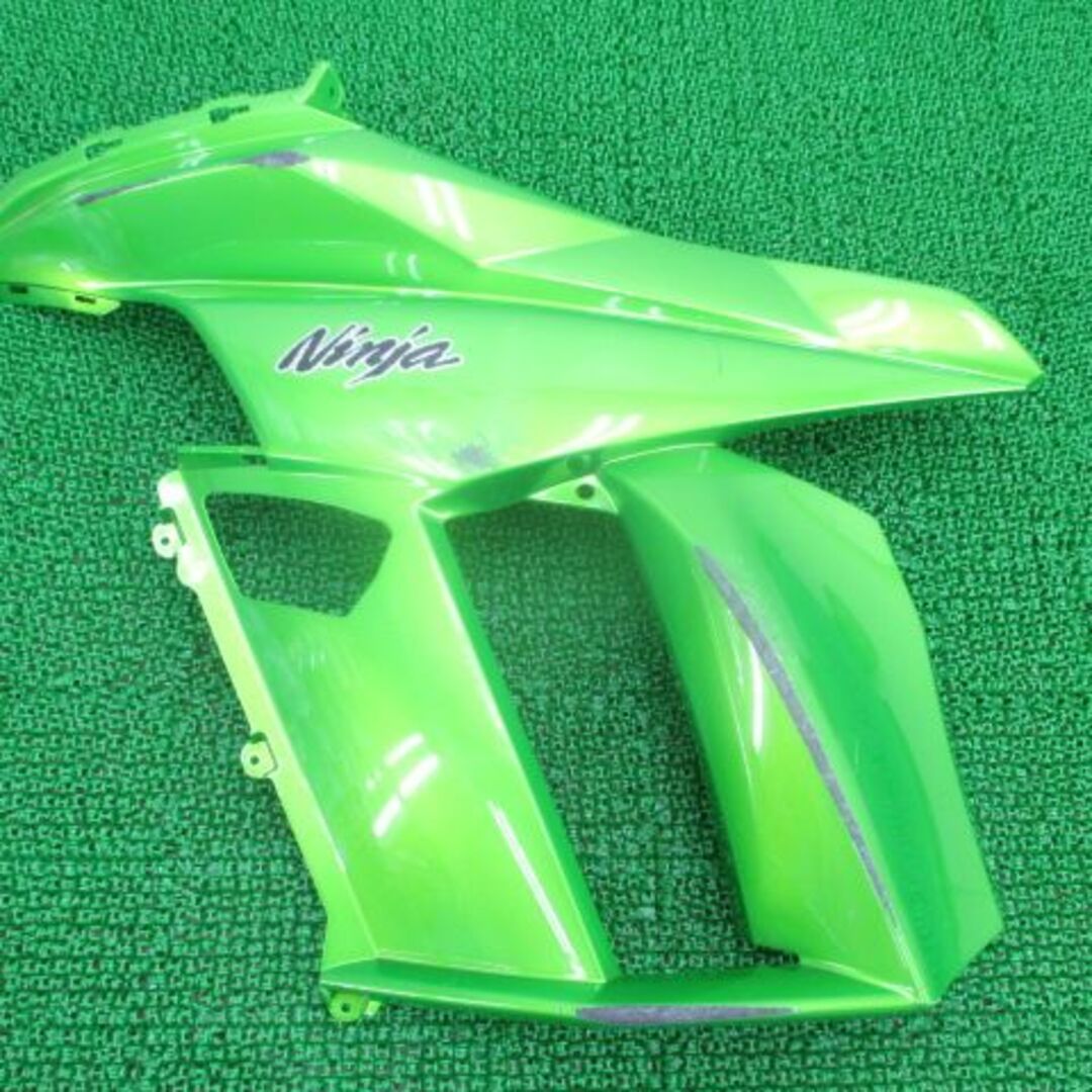 NINJA1000 サイドカウル 左 緑M 55028-0386 カワサキ 純正  バイク 部品 ZX1000G ペイント素材に 割れ欠け無し 車検 Genuine:31802071