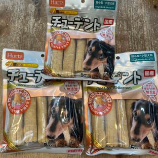 チューデント 犬 Hartz 歯磨きガム(ペットフード)