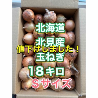 北海道産玉ねぎ　１８キロ　Sサイズ(野菜)
