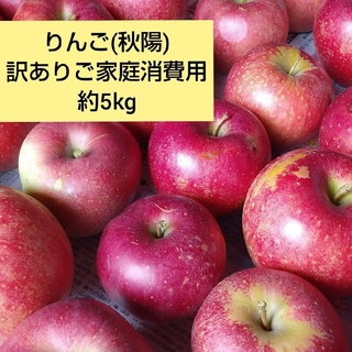 りんご(秋陽)訳ありご家庭消費用 約5kg(フルーツ)