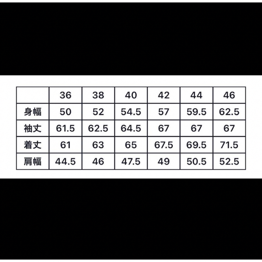 THE REAL McCOY'S(ザリアルマッコイズ)のリアルマッコイズ   TYPE A-2 REAL McCOY MFG. CO. メンズのジャケット/アウター(レザージャケット)の商品写真