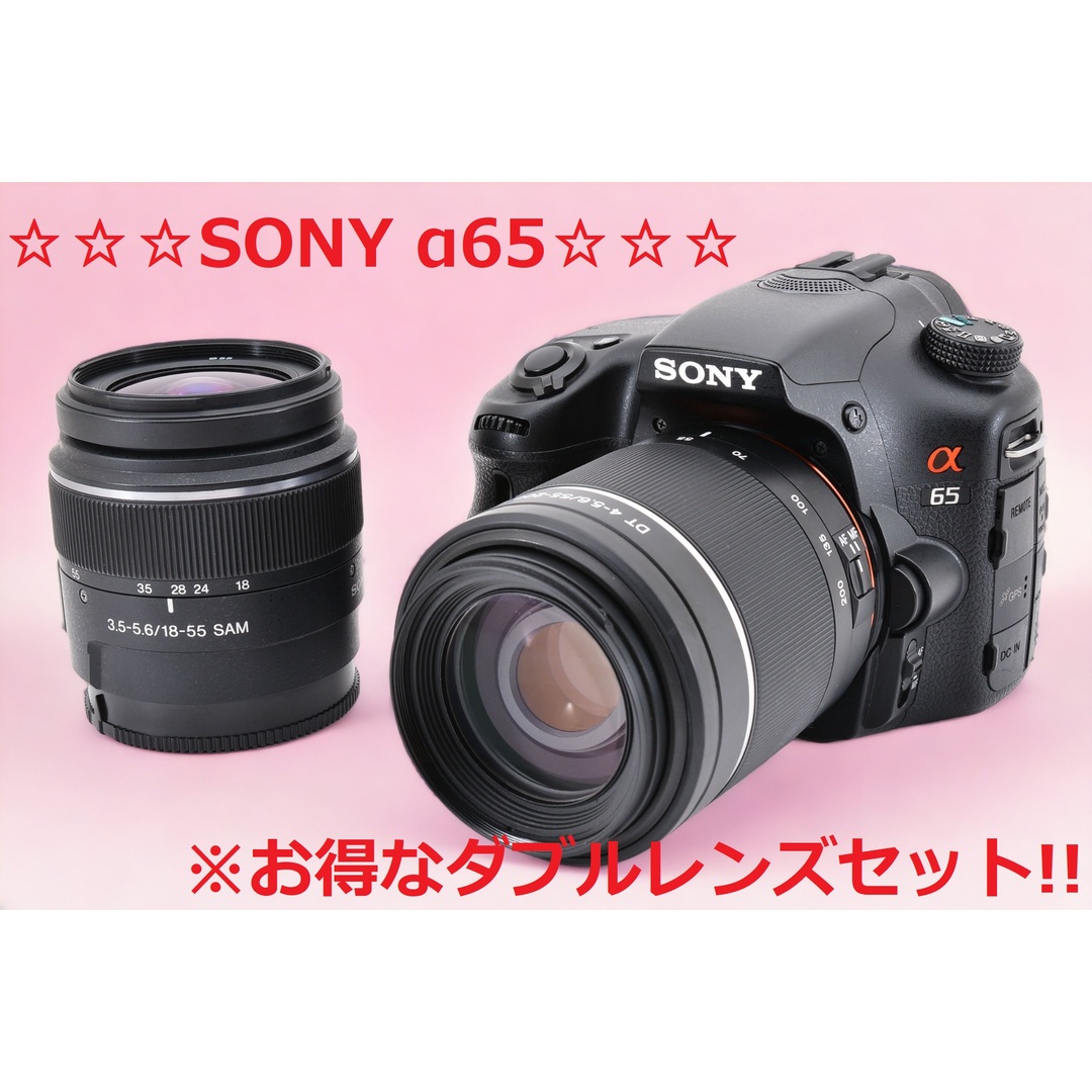 ☆ショット数3621回!! ダブルレンズセット♪☆ SONY a65 #6343-