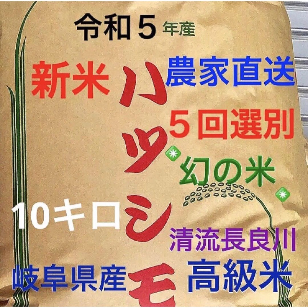 採れたて新米✳️令和５年産✳️５回色彩選別・有機肥料・送料無料ハツシモ10キロ