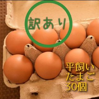 訳あり　平飼い卵10個入り3パック　国産もみじの卵　新鮮　産みたて(野菜)