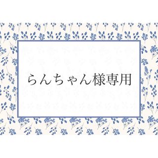 らんちゃん様専用(外出用品)