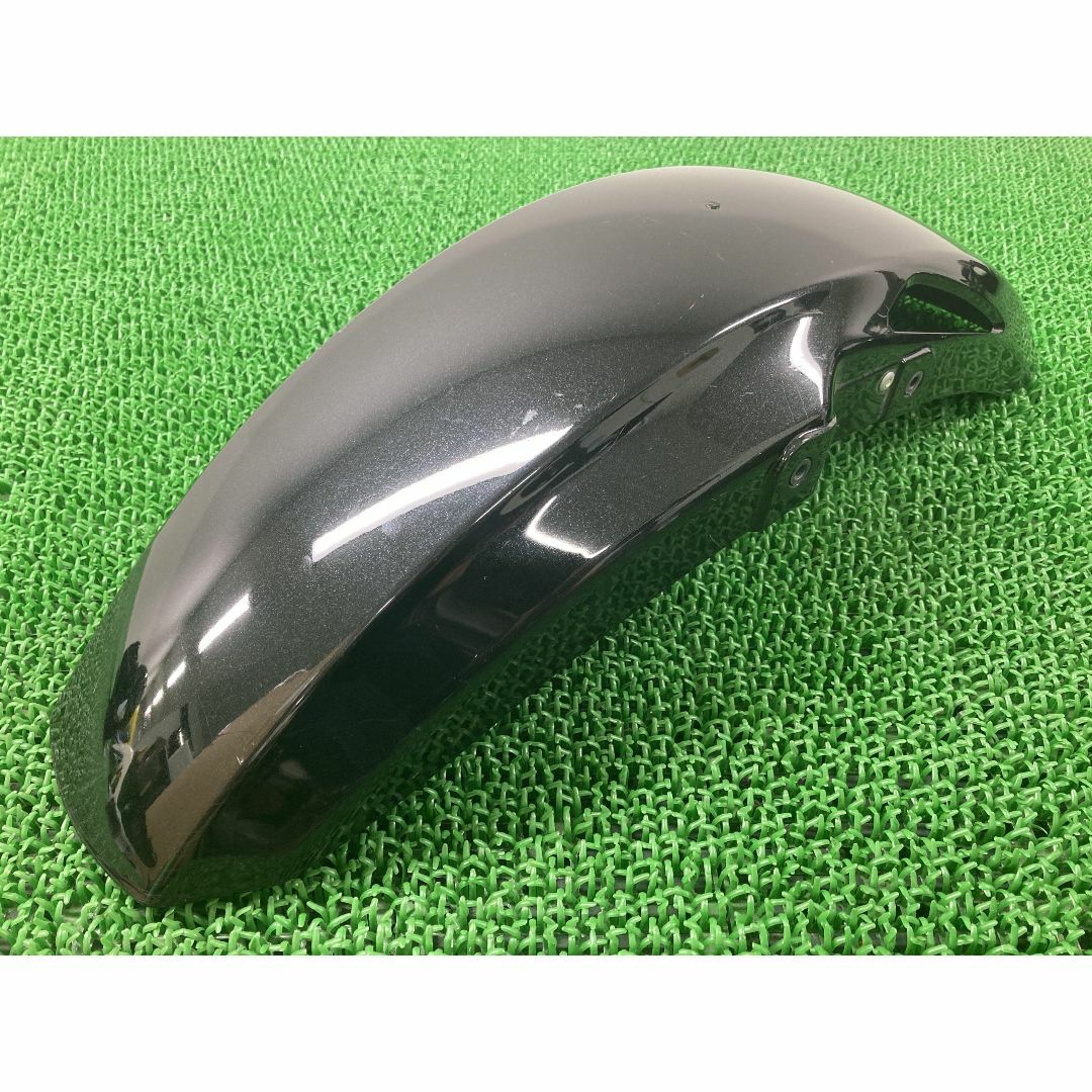 ZRX1200ダエグ フロントフェンダー 黒ラメ 35004-0138 カワサキ 純正  バイク 部品 ZR1200D ZRT20D DAEG ペイント素材に 割れ欠け無し 車検 Genuine:22319734