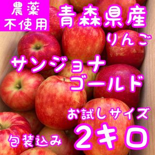 青森県産　お試しサイズ　サンジョナゴールド　2キロ(フルーツ)