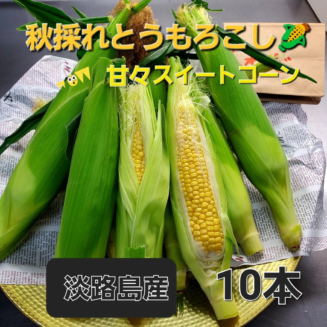 mamiCU18様専用 食品/飲料/酒の食品(野菜)の商品写真