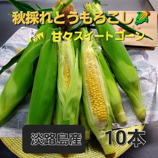 mamiCU18様専用(野菜)