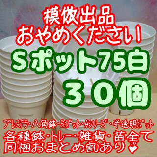 《Sポット75》白 30個 スリット鉢 プラ鉢2.5号鉢相当 多肉植物プレステラ(プランター)