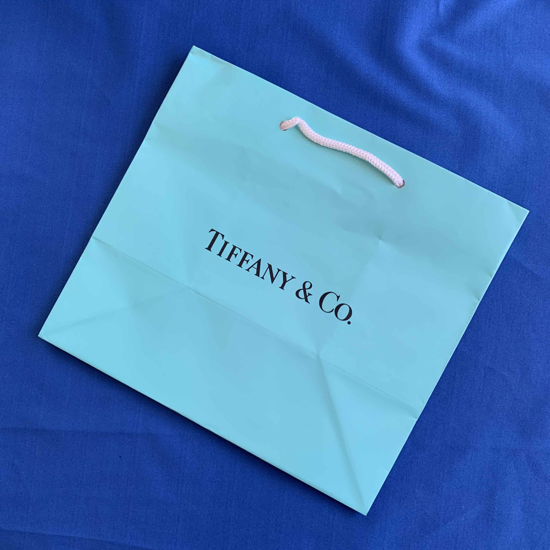 ティファニー★ショップ袋中6枚★TIFFANY & Co.ショッパー紙袋