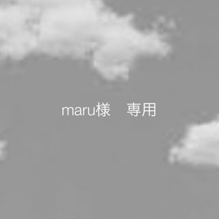 【　maru様 専用　】(プランター)