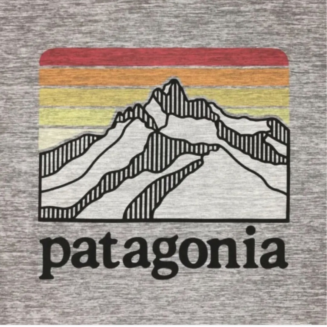 patagonia⭐️ロングスリーブ キャプリーンクール デイリー グラフィック 1