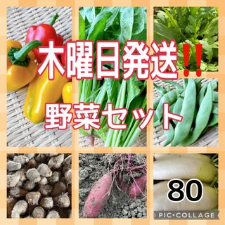 木曜日発送‼️野菜セット‼️(野菜)