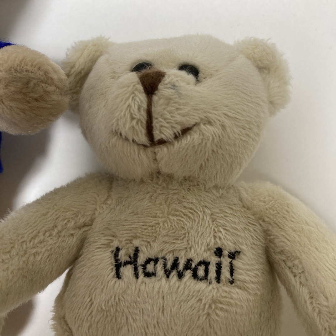 UCLAテディベア・Hawaiiテディベア　セット エンタメ/ホビーのおもちゃ/ぬいぐるみ(ぬいぐるみ)の商品写真