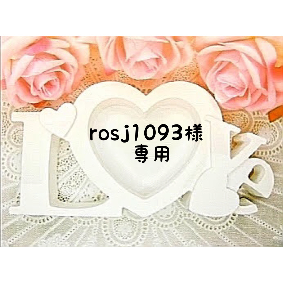 rosj1093様専用❤オーダー ハンドメイドのアクセサリー(ネックレス)の商品写真