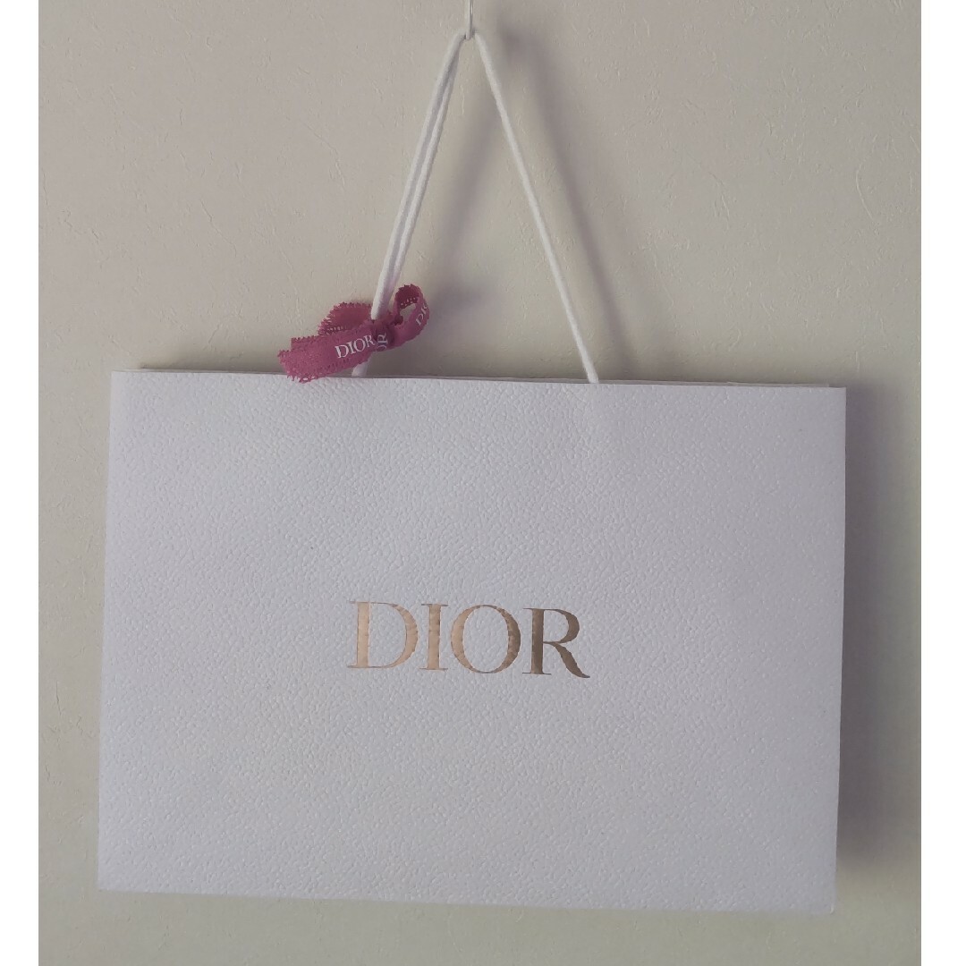 Christian Dior(クリスチャンディオール)のDior ショッパー 大サイズ レディースのバッグ(ショップ袋)の商品写真