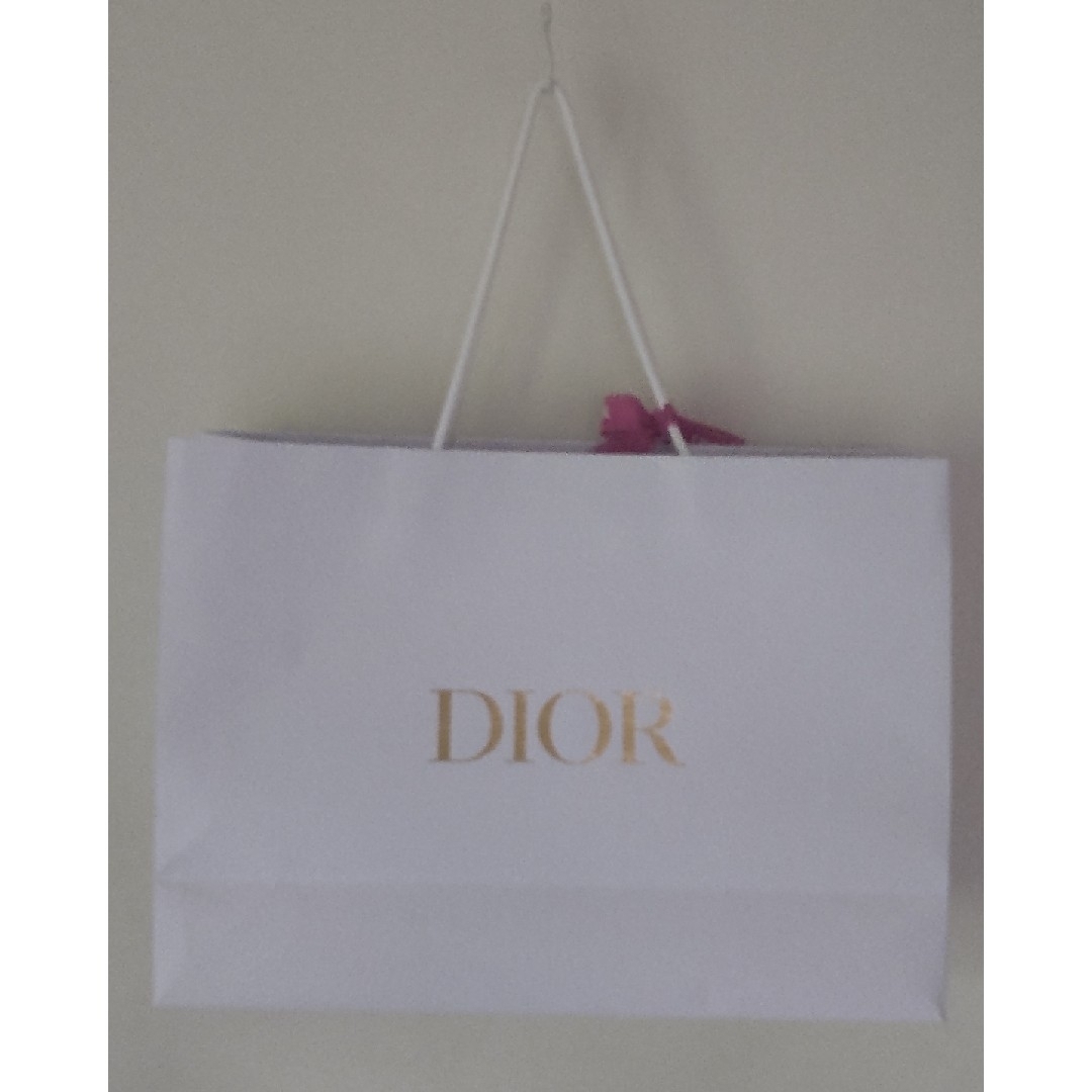 Christian Dior(クリスチャンディオール)のDior ショッパー 大サイズ レディースのバッグ(ショップ袋)の商品写真