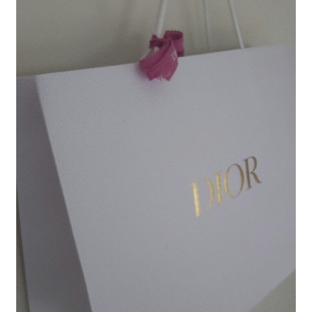 Christian Dior(クリスチャンディオール)のDior ショッパー 大サイズ レディースのバッグ(ショップ袋)の商品写真