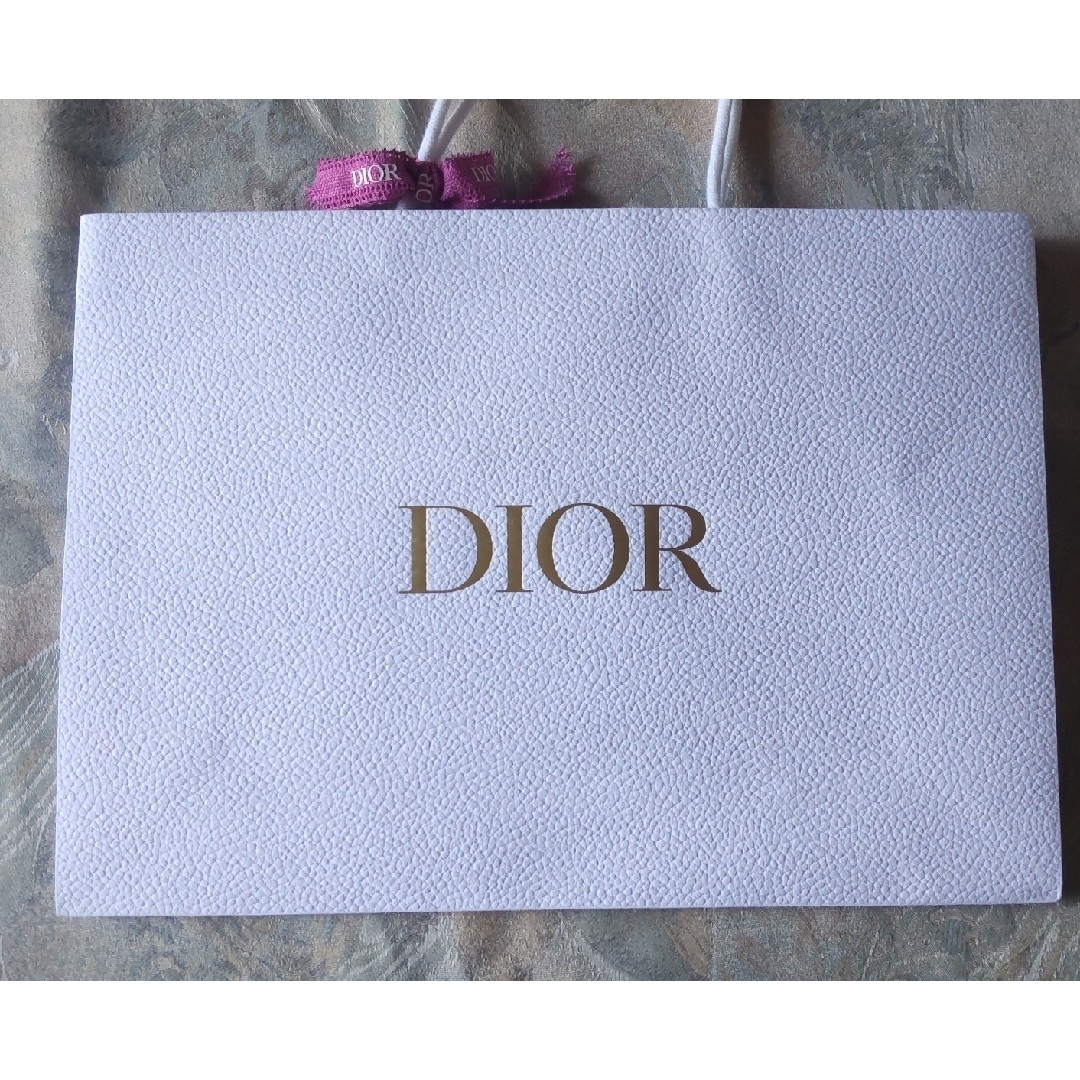 Christian Dior(クリスチャンディオール)のDior ショッパー 大サイズ レディースのバッグ(ショップ袋)の商品写真