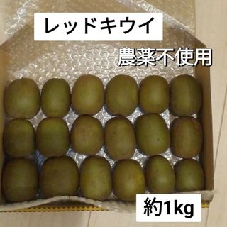 レッドキウイ　約1kg　農薬不使用(フルーツ)