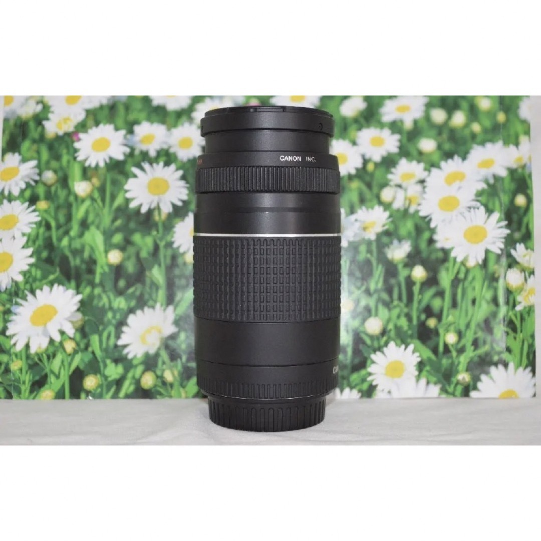 美品☆Canon EF-S 55-250mm IS☆お手軽望遠レンズ