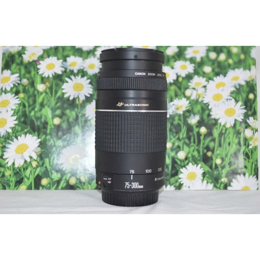 極美品☆ Canon キャノン 超望遠レンズ EF 100-300mm USM