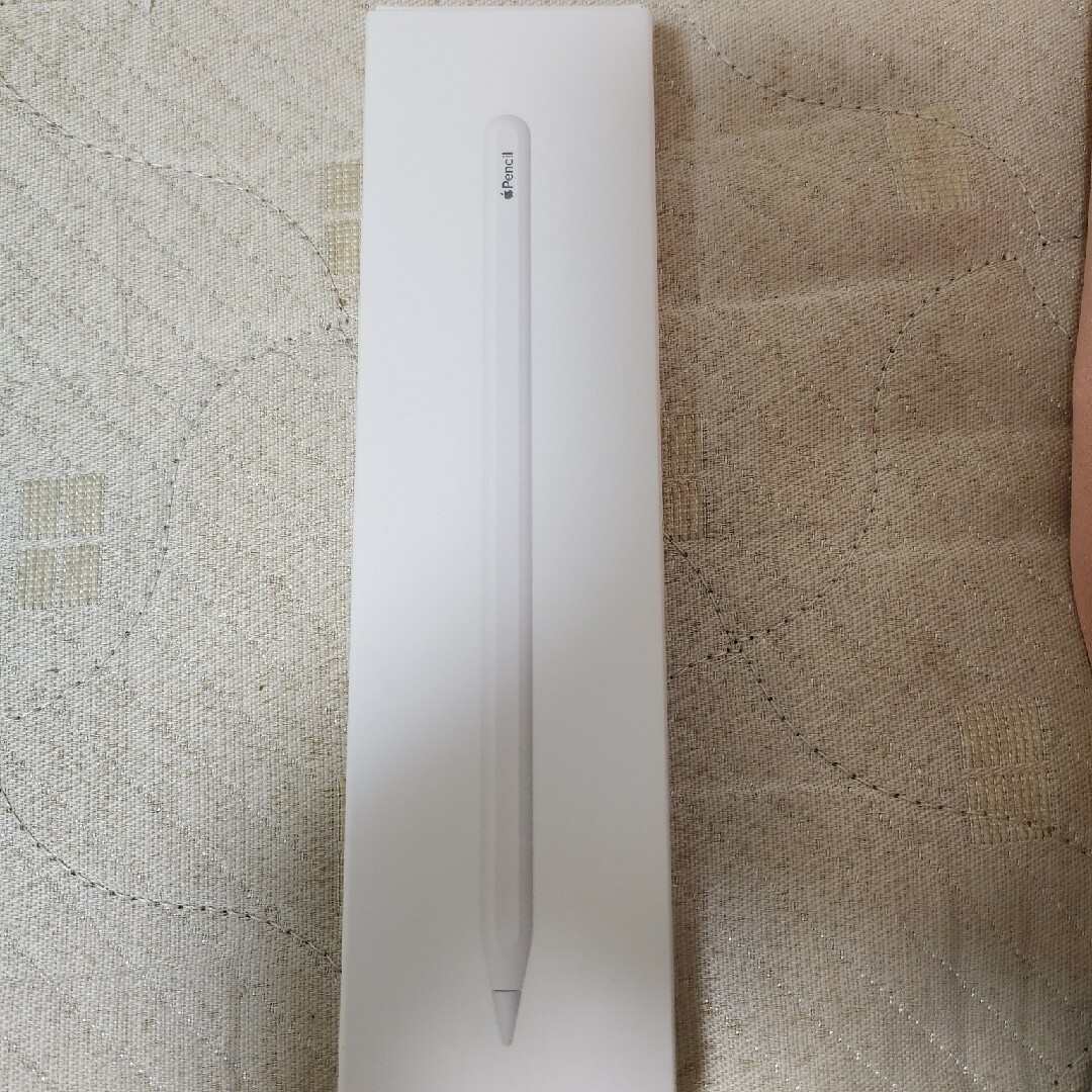 スマホ家電カメラApple Japan(同) iPadPro Apple Pencil 第2世代