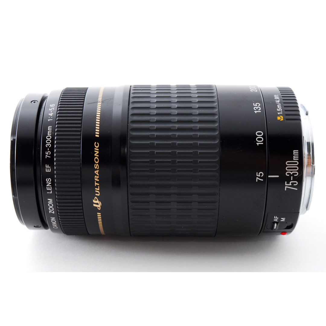Canon - ☆フード付き☆人気の望遠レンズ☆キヤノン☆Canon EF75-300 Canon - ☆フード付き☆人気の望遠レンズ☆キヤノン☆Canon EF75-300