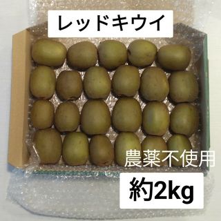 レッドキウイ　約2kg　農薬不使用(フルーツ)