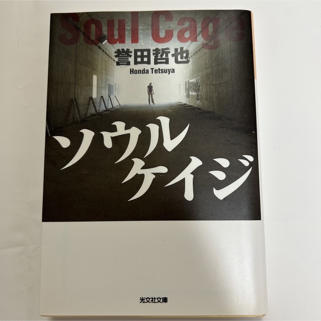 誉田哲也 文庫本セット「インビジブルレイン/ストロベリーナイト/ソウルケイジ」 エンタメ/ホビーの本(文学/小説)の商品写真